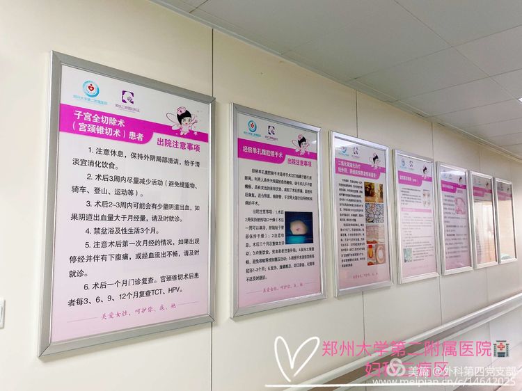 妇科科室挂墙宣传图片图片